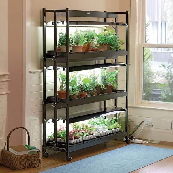 Fluorescent light for indoor plants deals